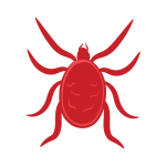Clover Mites
